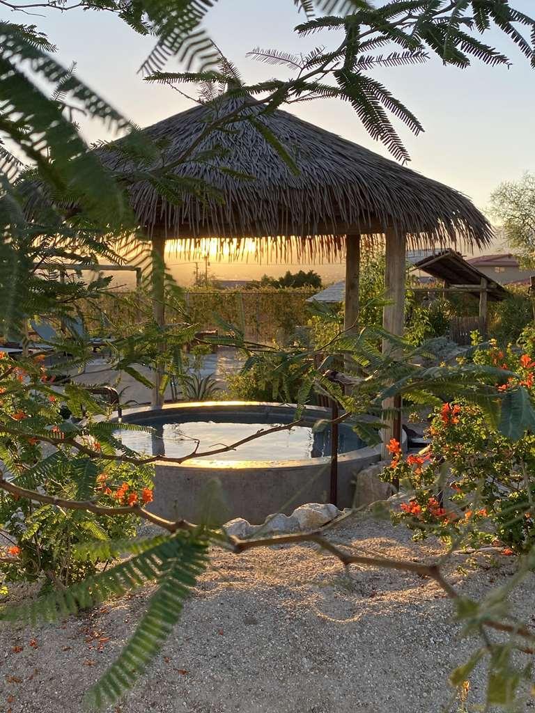 Готель Azure Palm Hot Springs Дезерт-Гот-Спрінґс Зручності фото